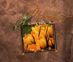 Brown & Orange Flower Wallpaper with Quote that says In This Moment Preview