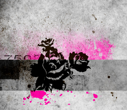 Blackberry on Pink   Black Grunge Rose Wallpaper   Grunge Background With Flower