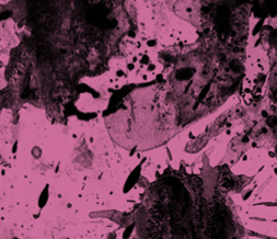 Pink & Black Grunge Wallpaper - Black & Pink Splatter Background Image