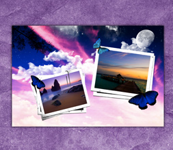 Beautiful Scenic Butterfly Wallpaper - Purple Butterfly Background Image