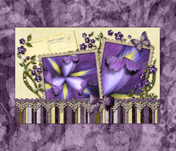 Beautiful Purple Iris Wallpaper - Purple & Yellow Flowery Background with Butterflies Preview