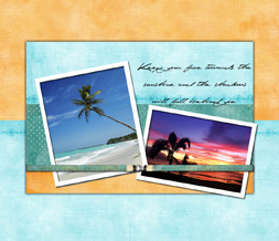 Pretty Palm Tree Wallpaper - Free Scenic Ocean Theme