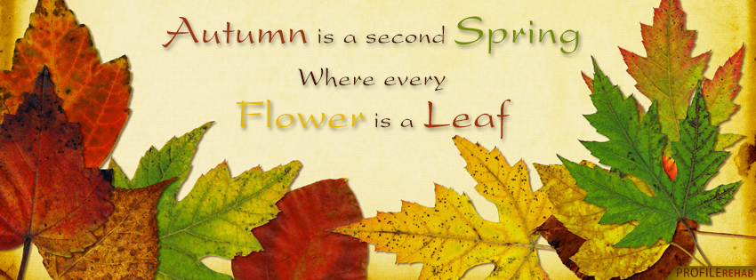 Fall Saying Facebook Cover - Quotes About Fall Images - Fall Season Quotes Pictures