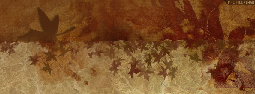 Autumn Leaves Facebook Cover - Autumn Leaves Pictures Free