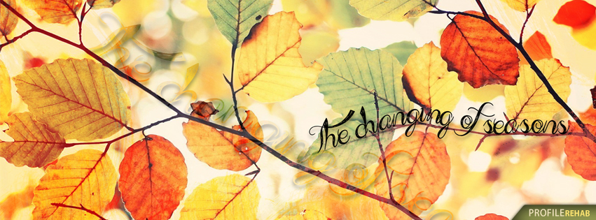 Free Fall Facebook Covers for Timeline, Pretty Autumn Season Timeline