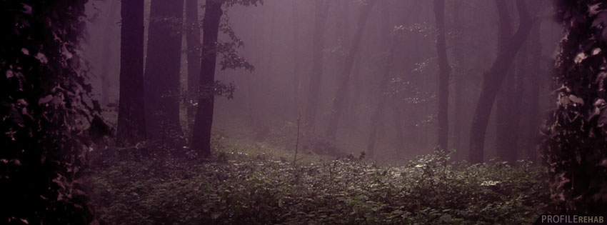 Creepy Forest Facebook Cover