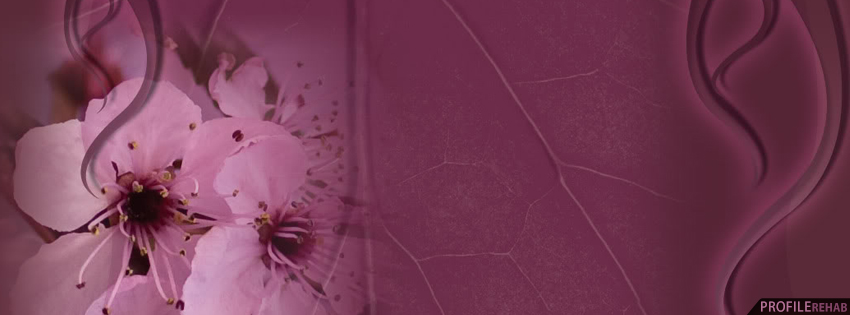 Maroon Flowers Facebook Cover - Beautiful Flower Images for Fall