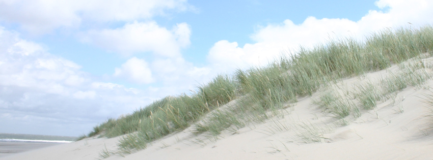 Beach Sand Dunes Facebook Cover