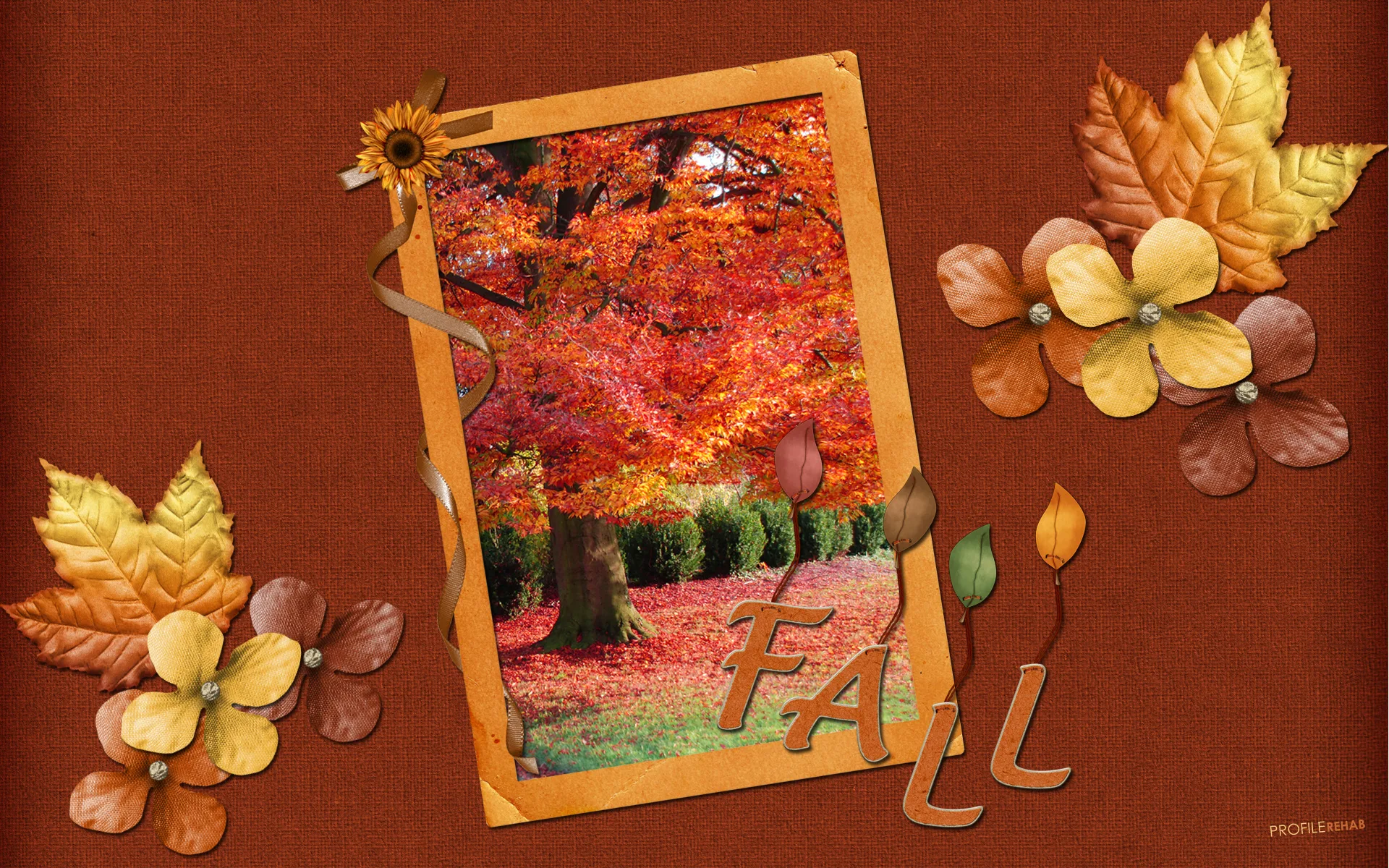 Fall Quote Wallpaper