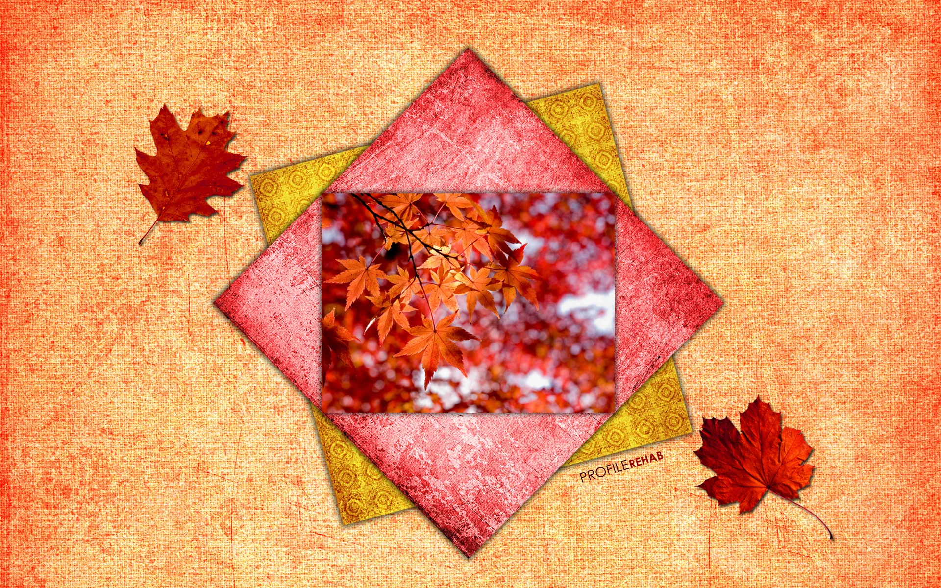 Bright Fall Wallpaper
