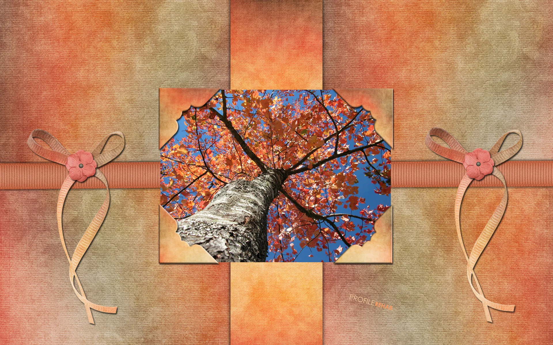 Fall Tree Wallpaper