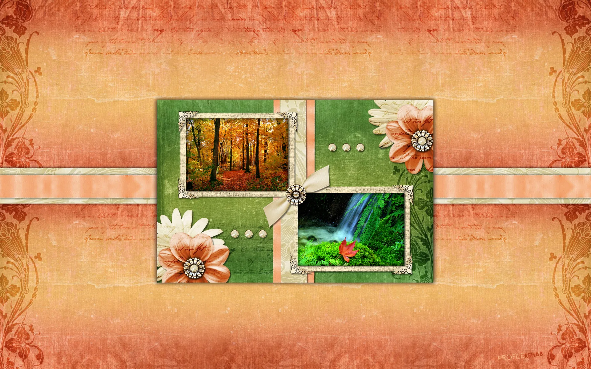 Autumn Forest Wallpaper
