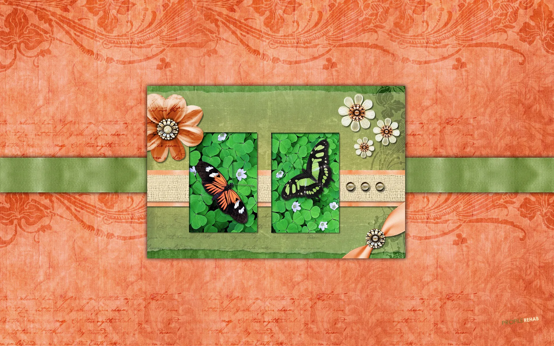 Pretty Butterfly Wallpaper