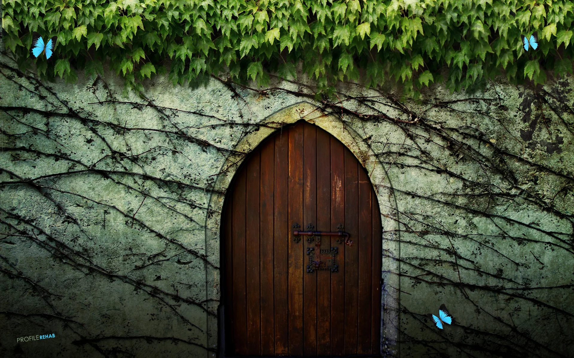 Secret Door Wallpaper