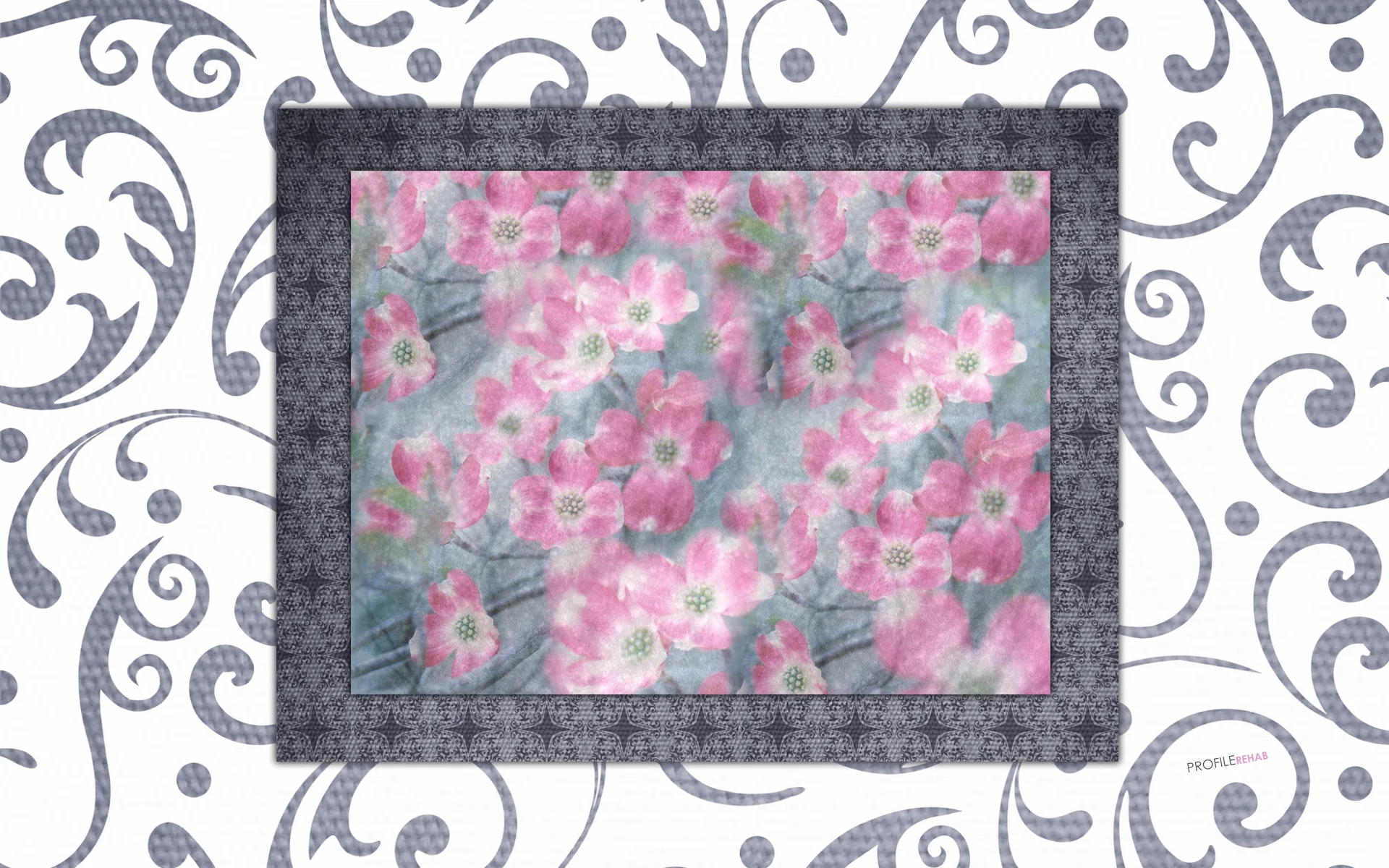 Dogwood Flowers Wallpaper