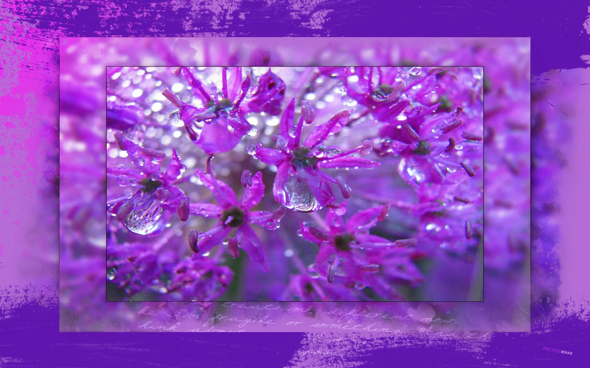 Pretty Purple Flower Wallpaper - Beautiful Flowers Wallpaper