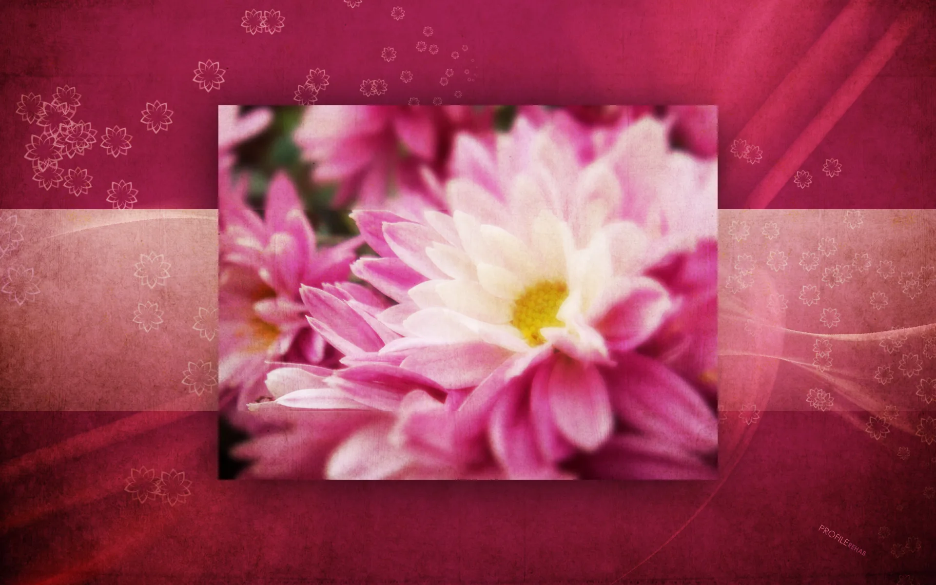 Maroon Flowers Wallpaper