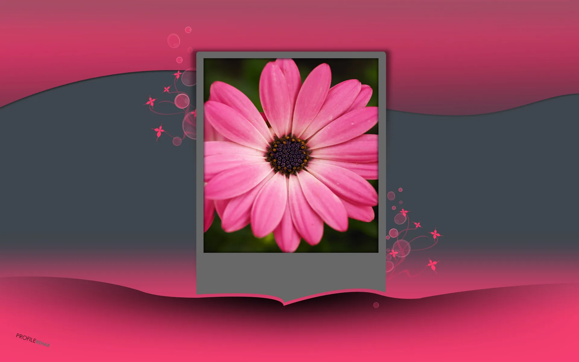 Pink Flower Wallpaper