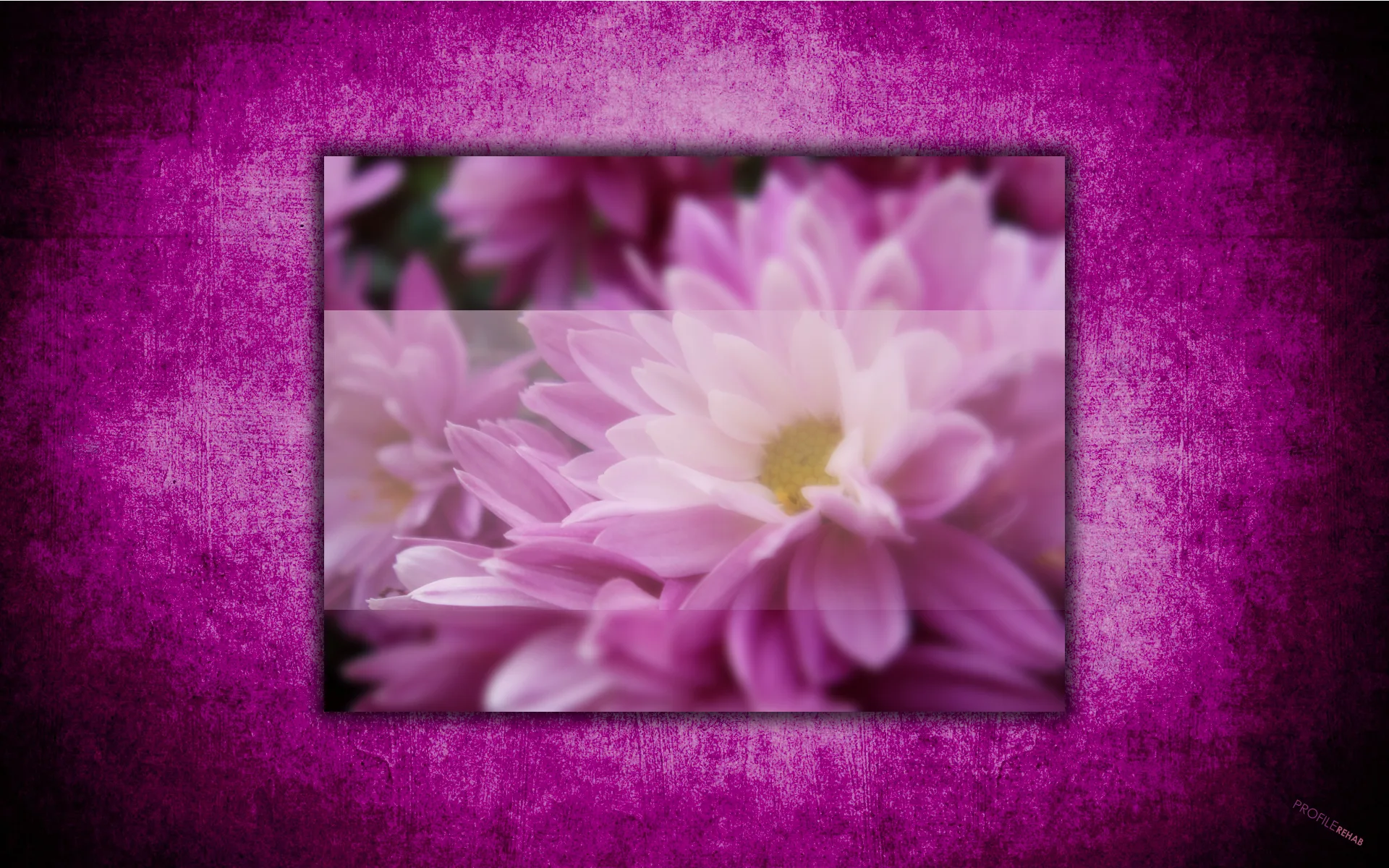 Purple Flower Wallpaper