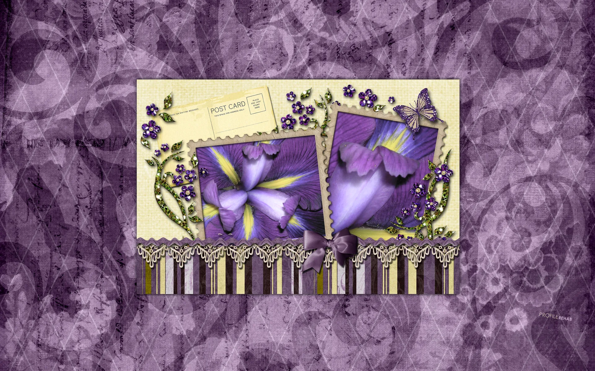 Purple Iris Wallpaper