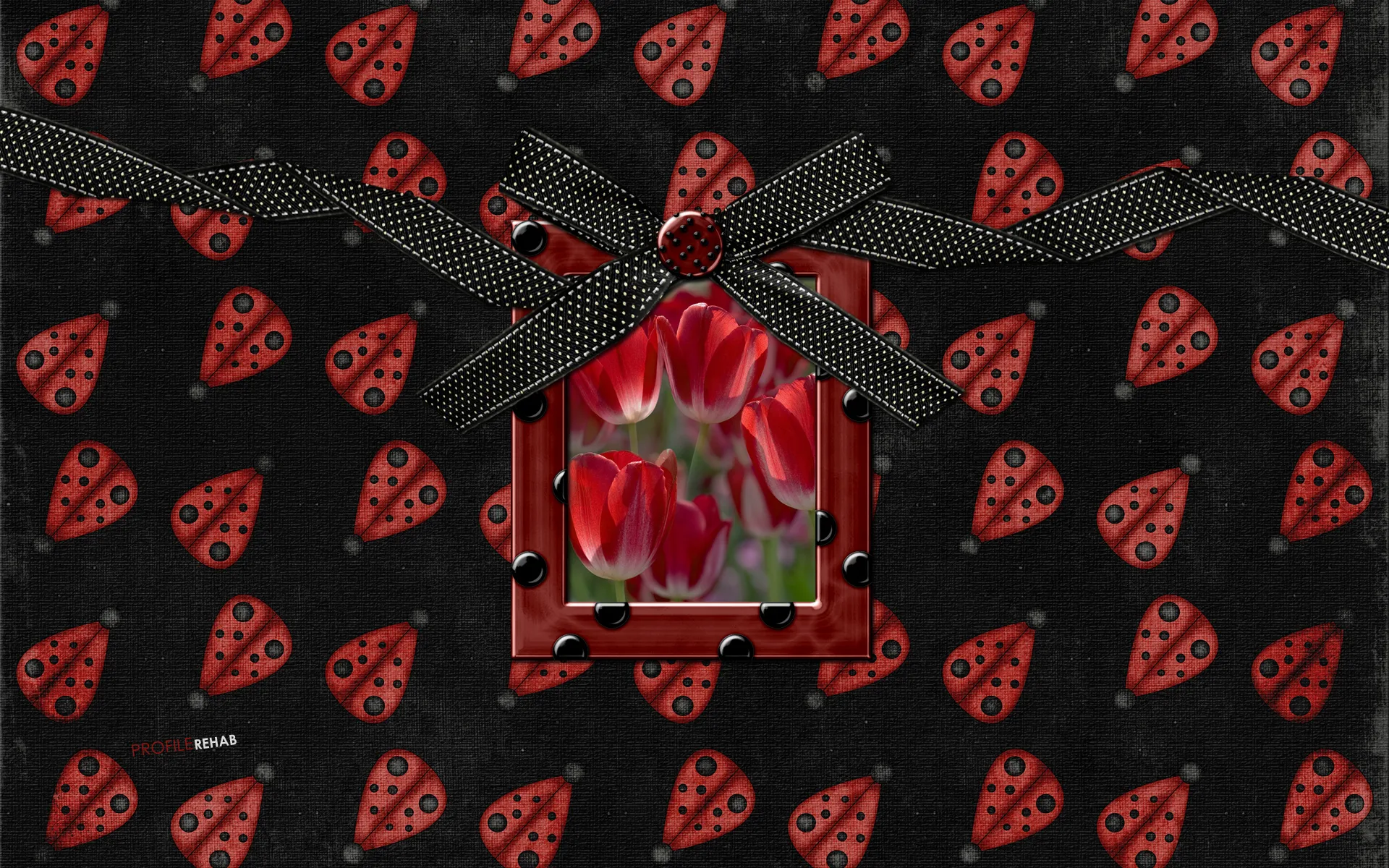 Red & Black Ladybug Wallpaper - Pretty Tulips Background
