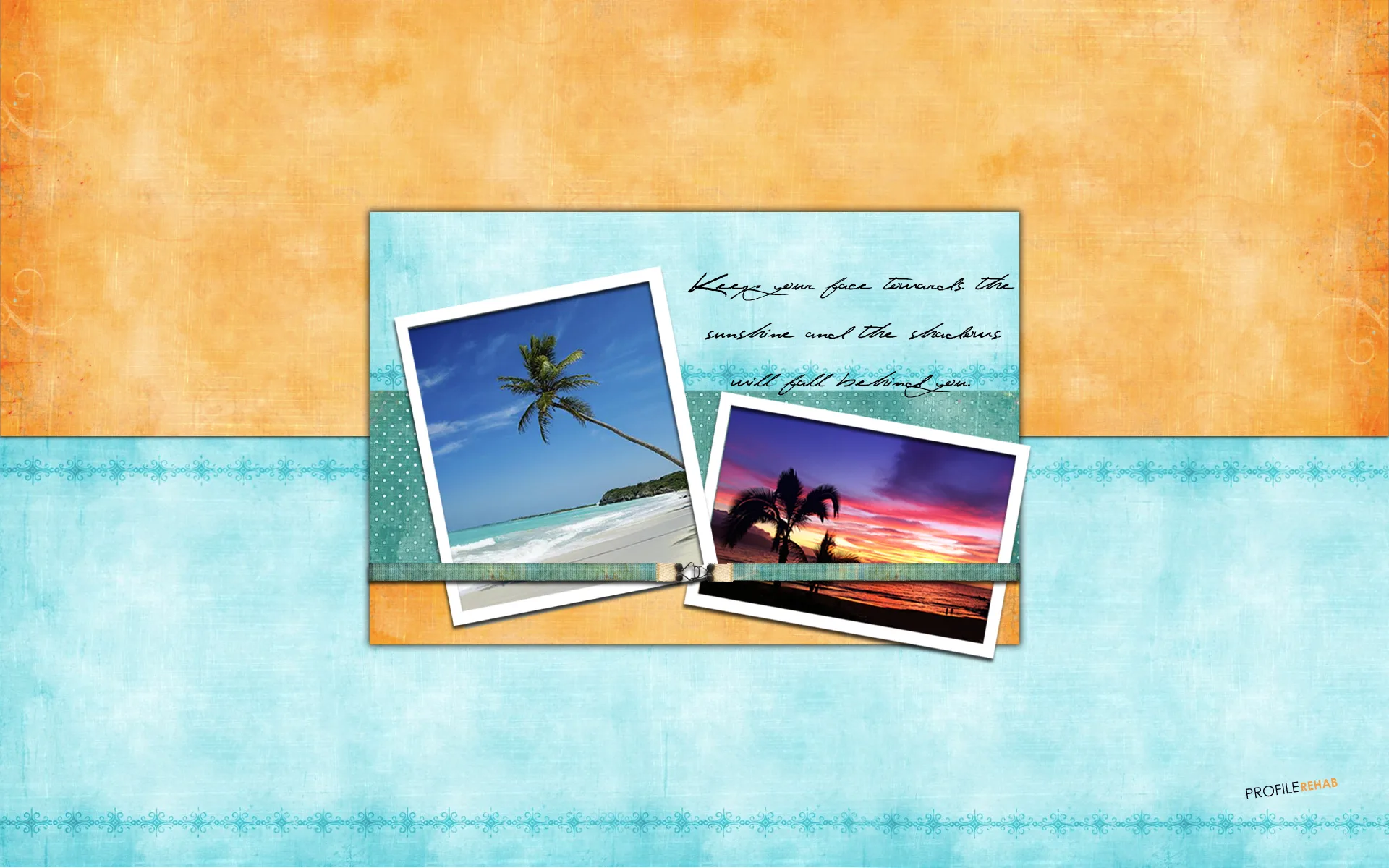 Scenic Palm Tree Wallpaper
