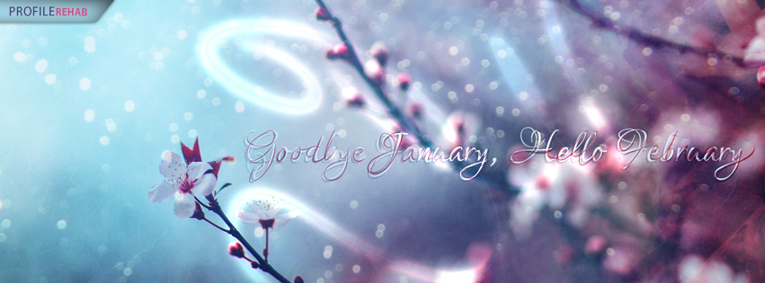 Goodbye January Hello February Images -  Goodbye January Welcome February Image