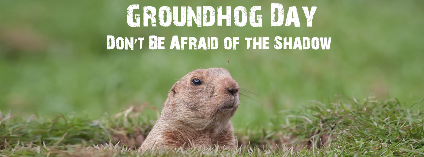 Picture of Groundhog - Groundhog Images - Pictures of Groundhogs - Images of Groundhogs
