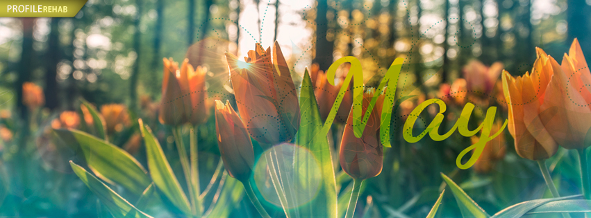 Beautiful May Photo - Pretty May Photos for Facebook