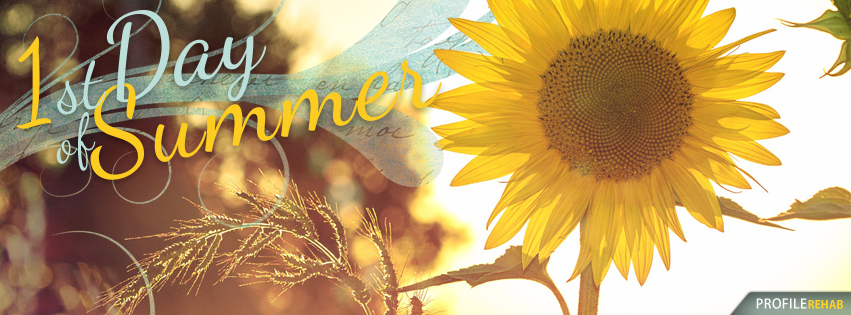 1st Day of Summer Images - 1st Day of Summer Quotes - 1st Day Summer Images