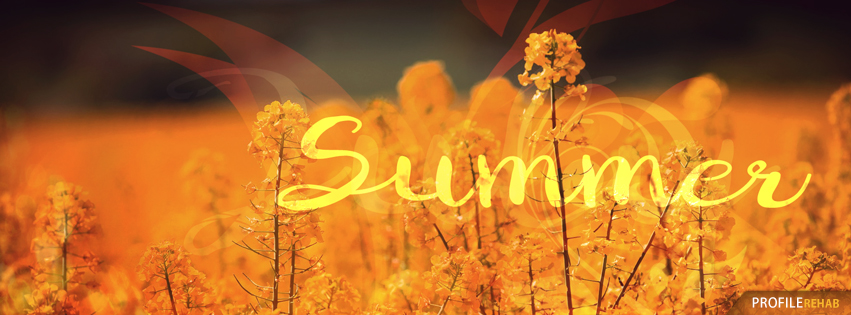 Cool Summer Pics for Facebook - Orange Pics of Summer - Pretty Summer Pic