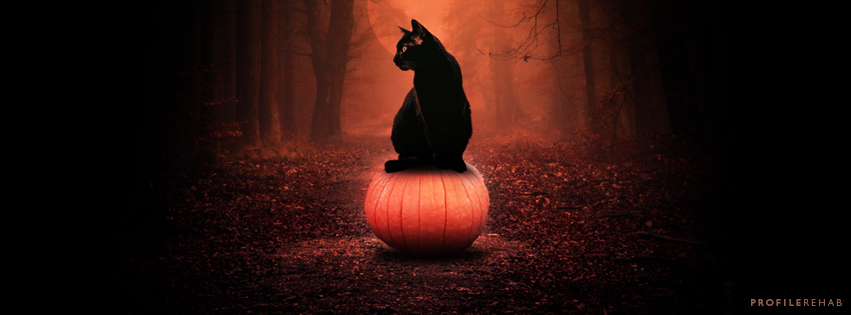 Black Cat Pumpkin Images for Facebook Cover - Halloween Black Cat on Pumpkin -
 Oct Event Day 18 