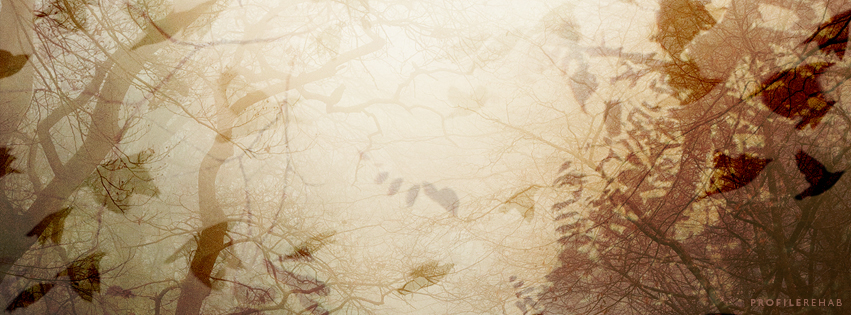 Fall Leaves Cover Photos for Facebook - Fall Birds Photo for Facebook Covers - October Event Day 20