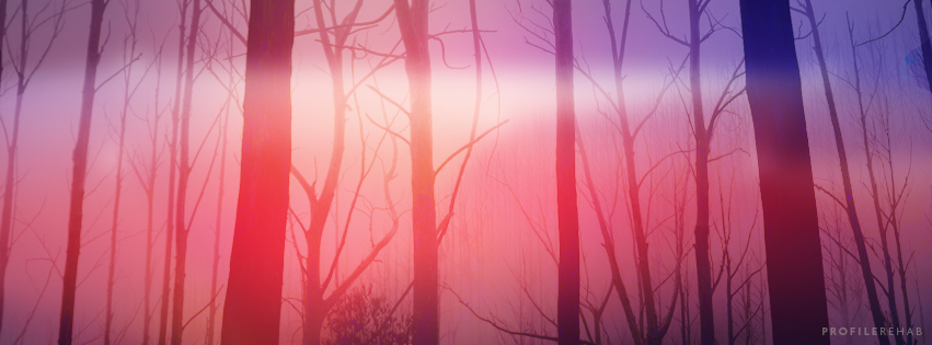 Creepy Forest Covers - Halloween Creepy Forest Images -
 October Event Day 26